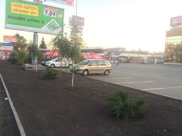 Посадка растений ТГЦ 4room. г Киев