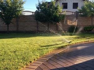 Устройство полива